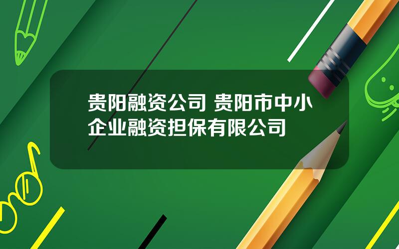 贵阳融资公司 贵阳市中小企业融资担保有限公司